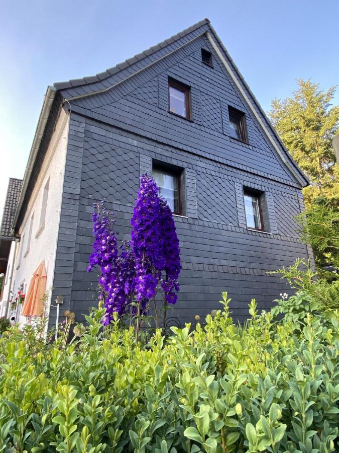 Fewo Lindenhof Hatzfeld Exteriör bild